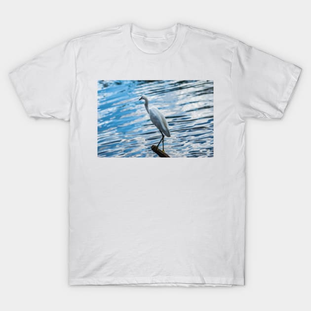 Snowy Egret 2 T-Shirt by KensLensDesigns